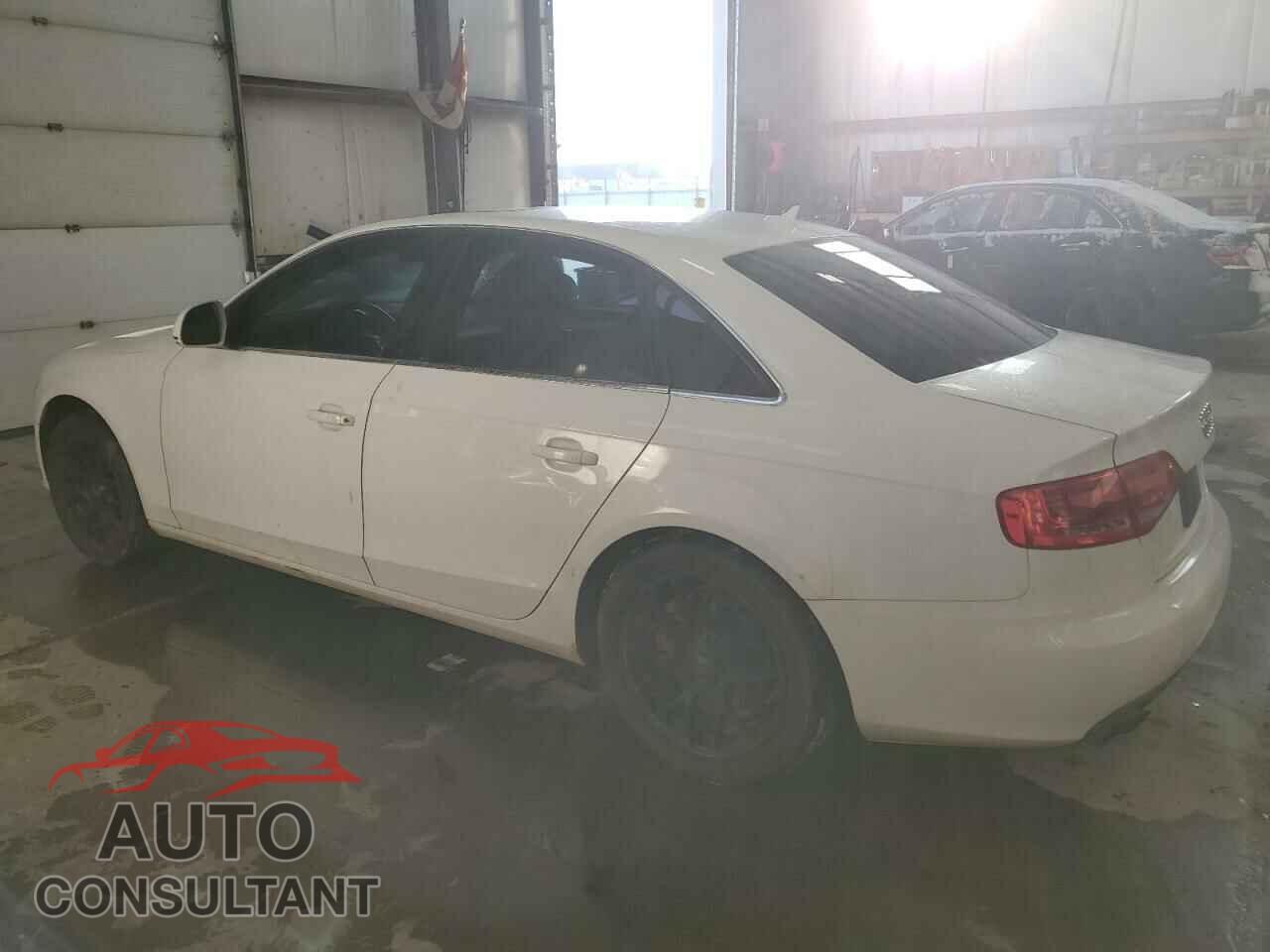 AUDI A4 2009 - WAULF68K89A090491
