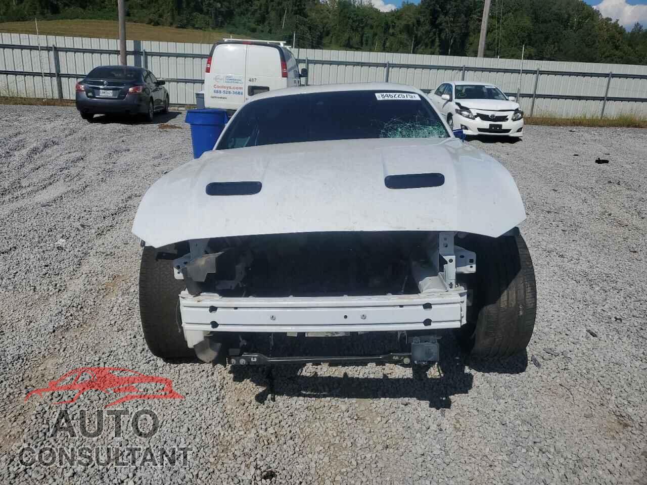 FORD MUSTANG 2019 - 1FA6P8CF0K5191502