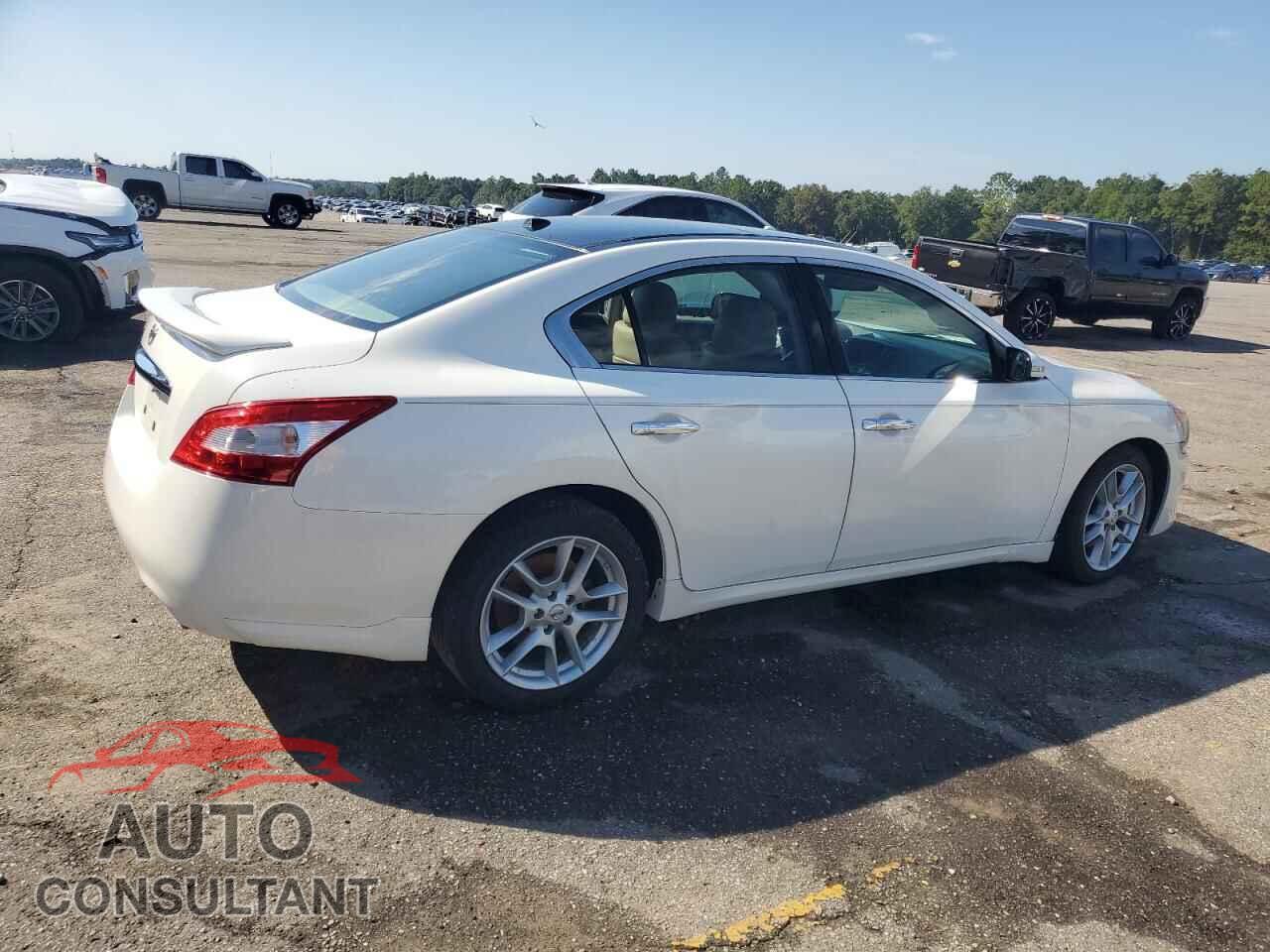 NISSAN MAXIMA 2011 - 1N4AA5AP7BC869194
