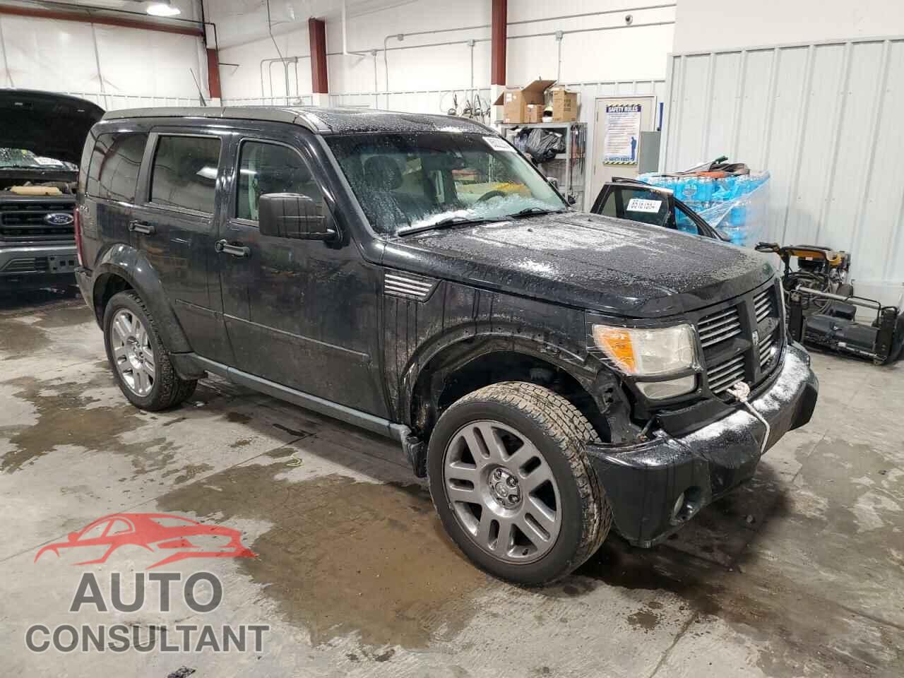 DODGE NITRO 2011 - 1D4PU4GX7BW545094