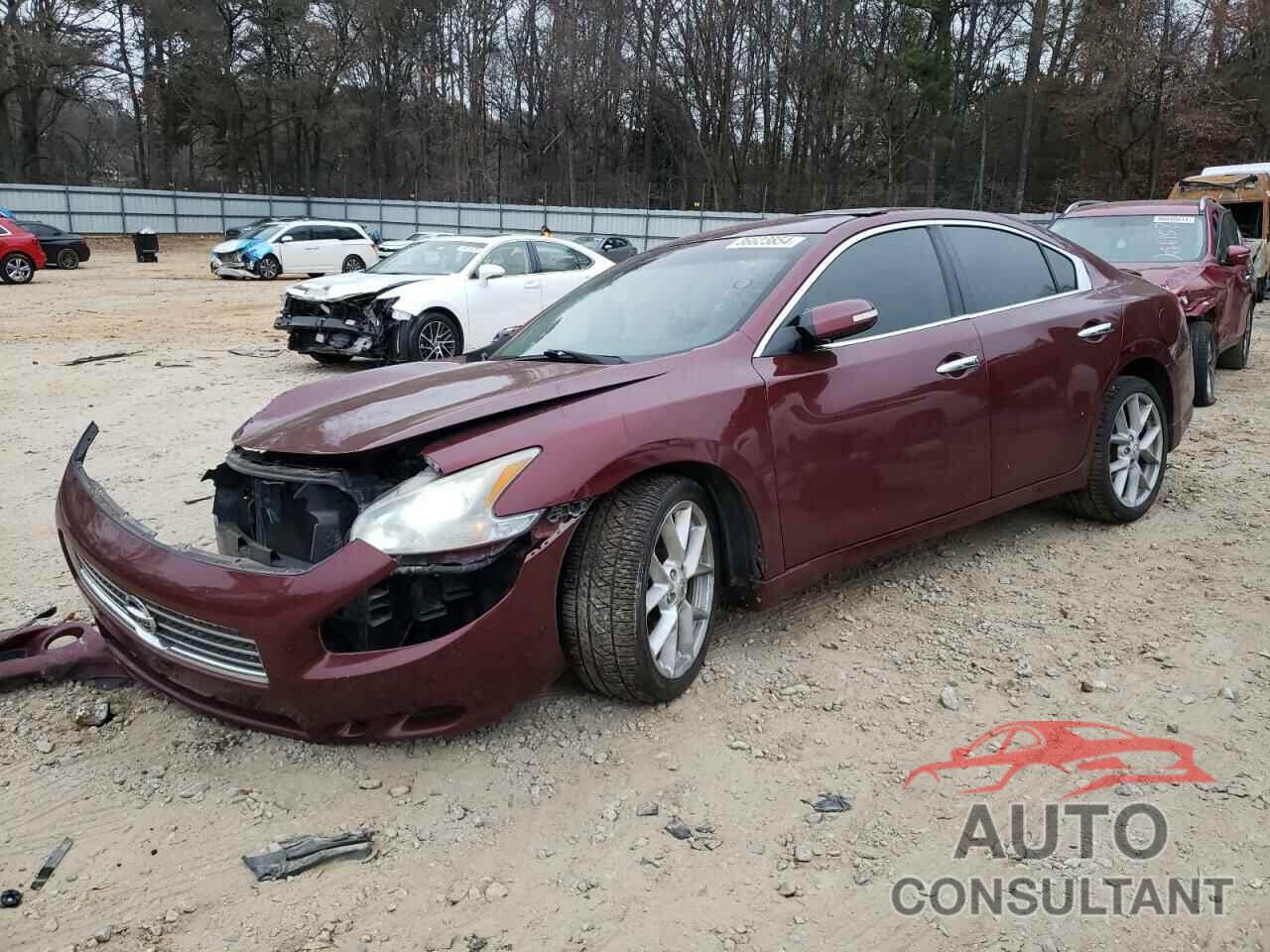 NISSAN MAXIMA 2009 - 1N4AA51E89C815637