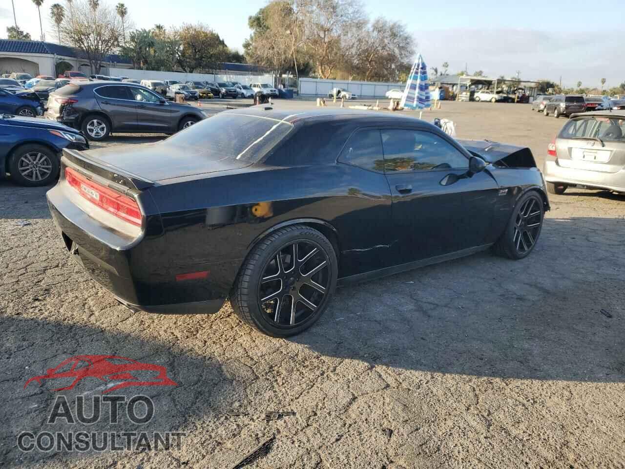 DODGE CHALLENGER 2014 - 2C3CDYBT0EH278749