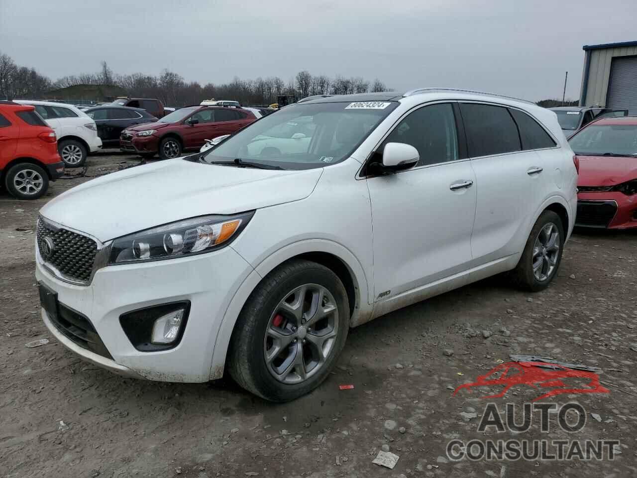 KIA SORENTO 2017 - 5XYPKDA54HG262877