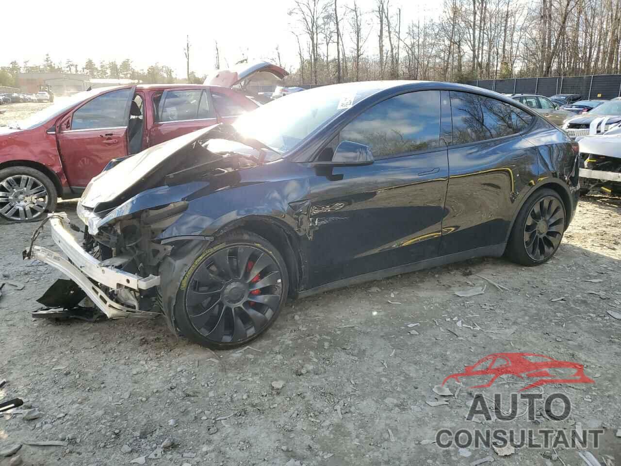 TESLA MODEL Y 2022 - 7SAYGDEF5NF454159