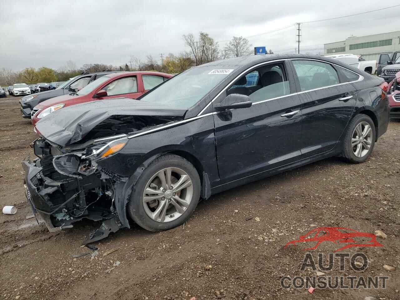 HYUNDAI SONATA 2019 - 5NPE34AF3KH816553