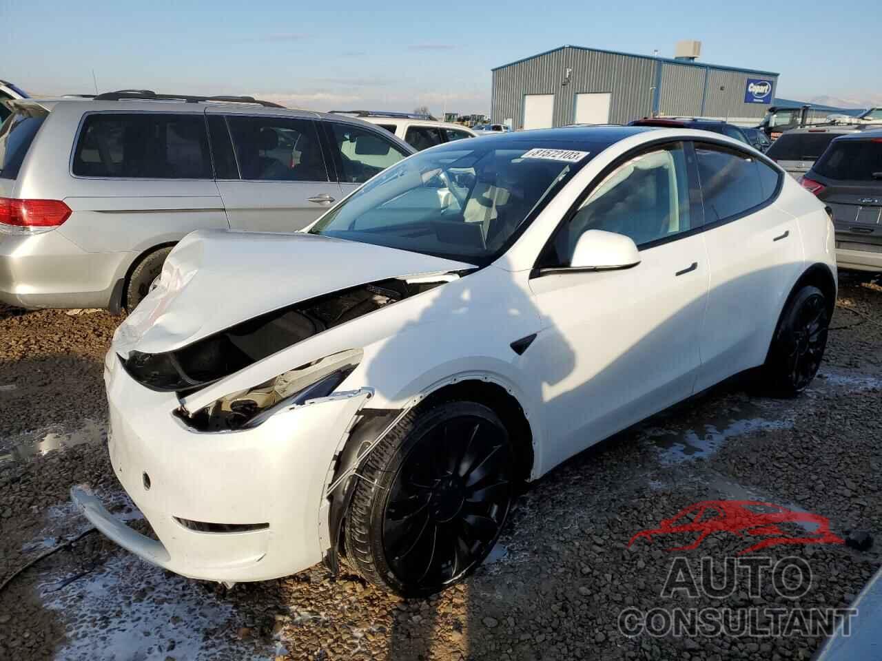 TESLA MODEL Y 2023 - 7SAYGDEF3PF591703
