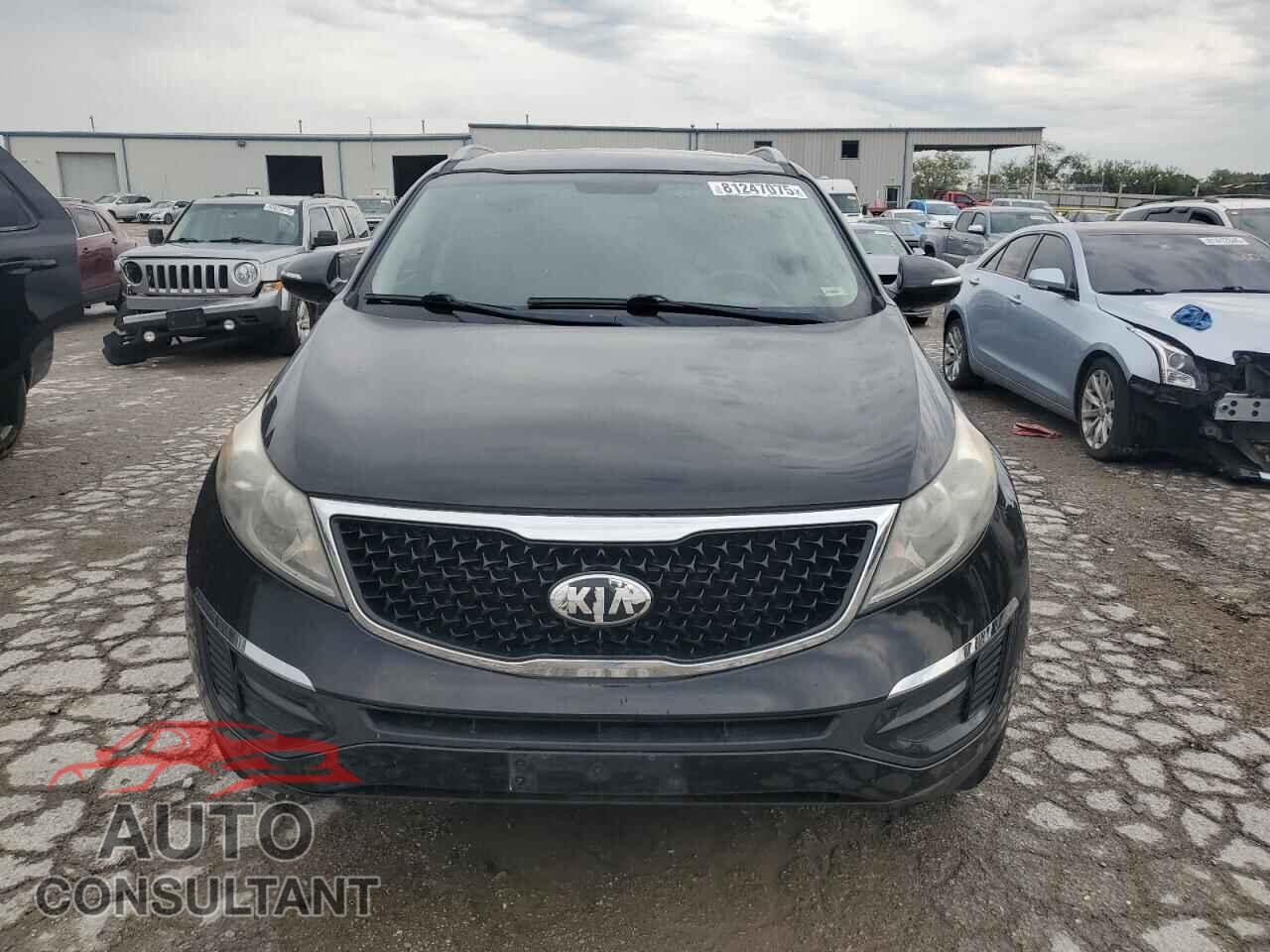 KIA SPORTAGE 2014 - KNDPBCAC4E7645929