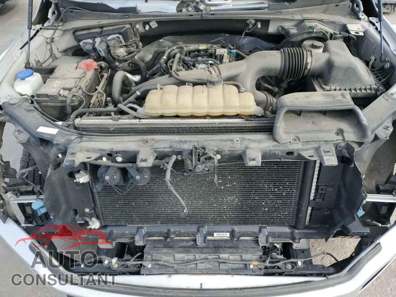 FORD F-150 2019 - 1FTEW1EP2KKE36744