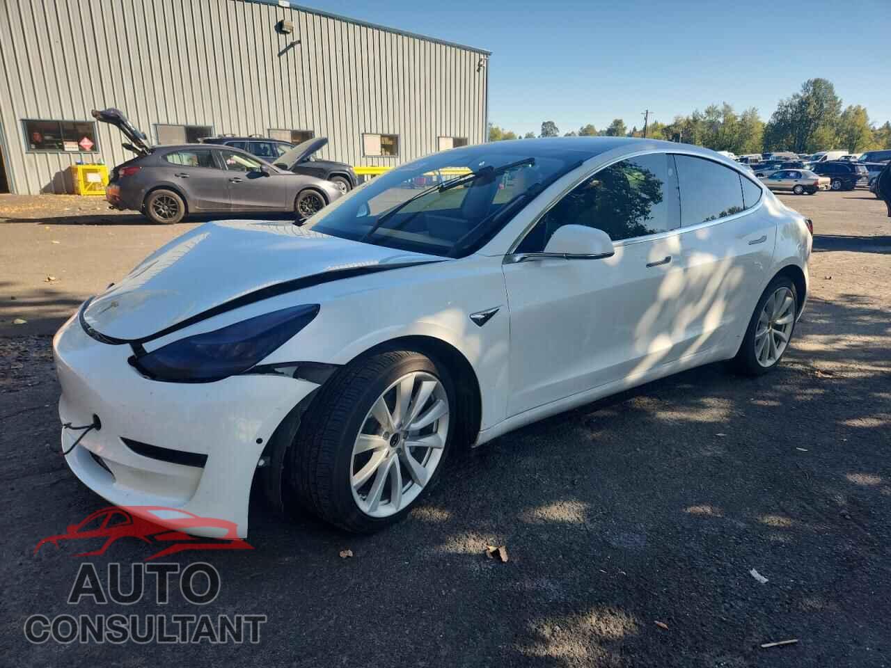 TESLA MODEL 3 2018 - 5YJ3E1EA4JF169480