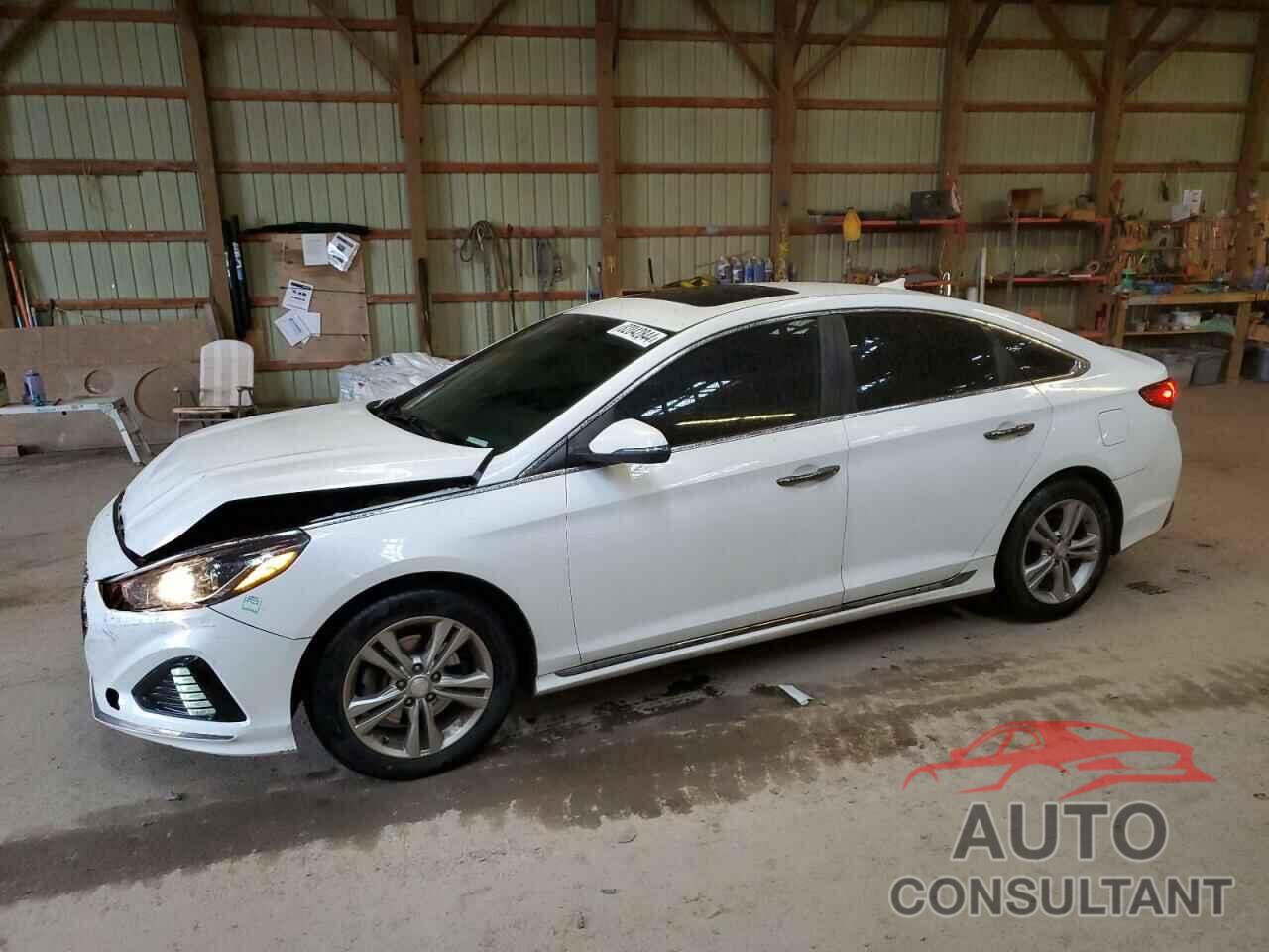 HYUNDAI SONATA 2019 - 5NPE34AF3KH748688