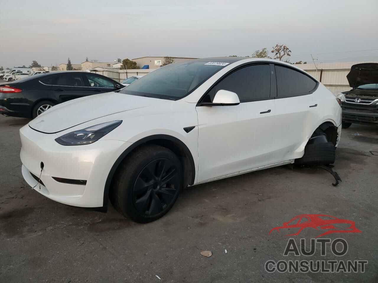 TESLA MODEL Y 2024 - 7SAYGDED5RF168445