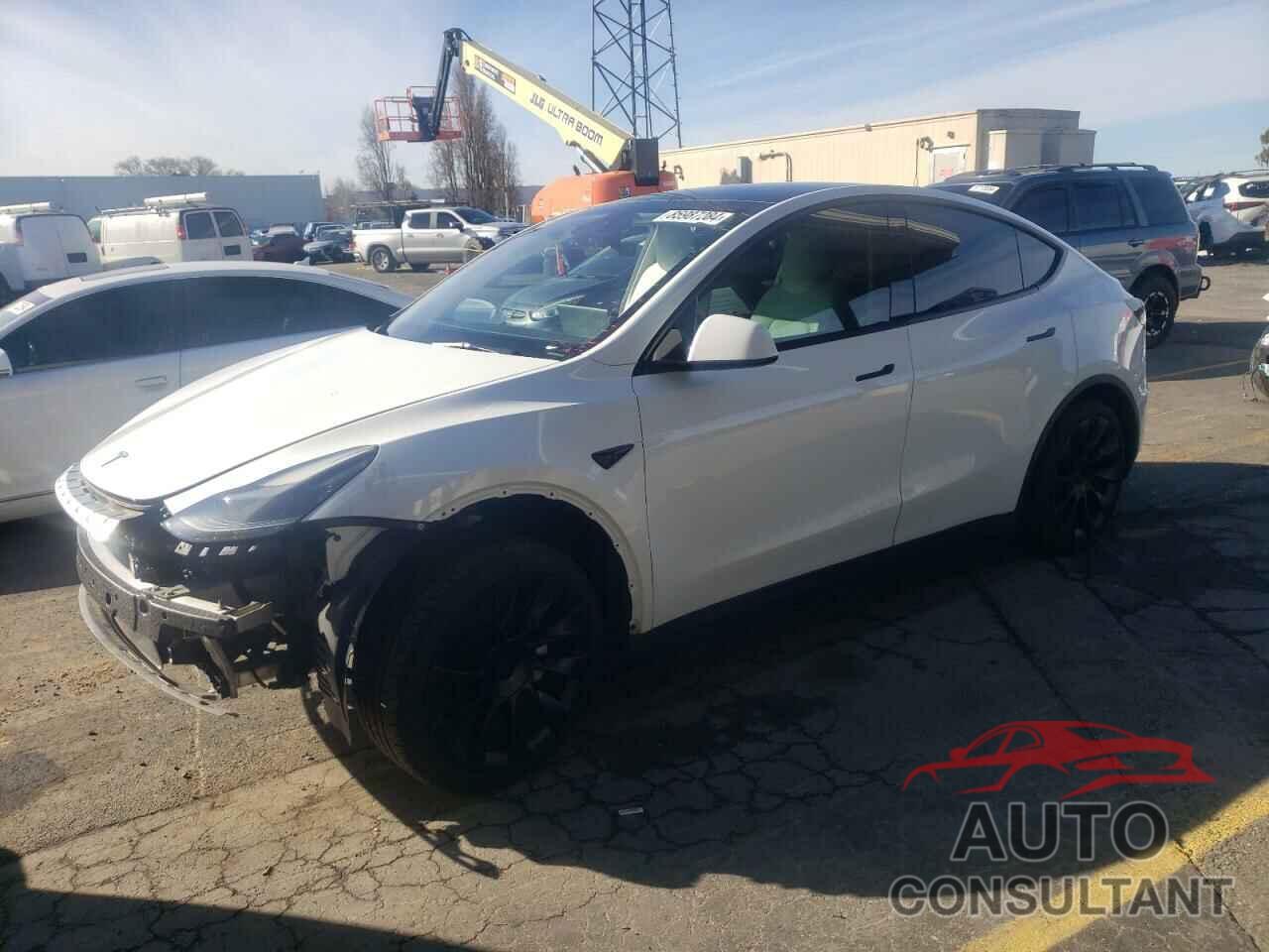 TESLA MODEL Y 2022 - 7SAYGAEE4NF521288