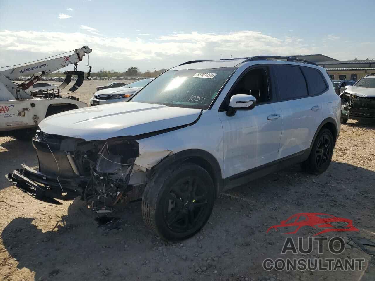 KIA TELLURIDE 2024 - 5XYP3DGC2RG437566
