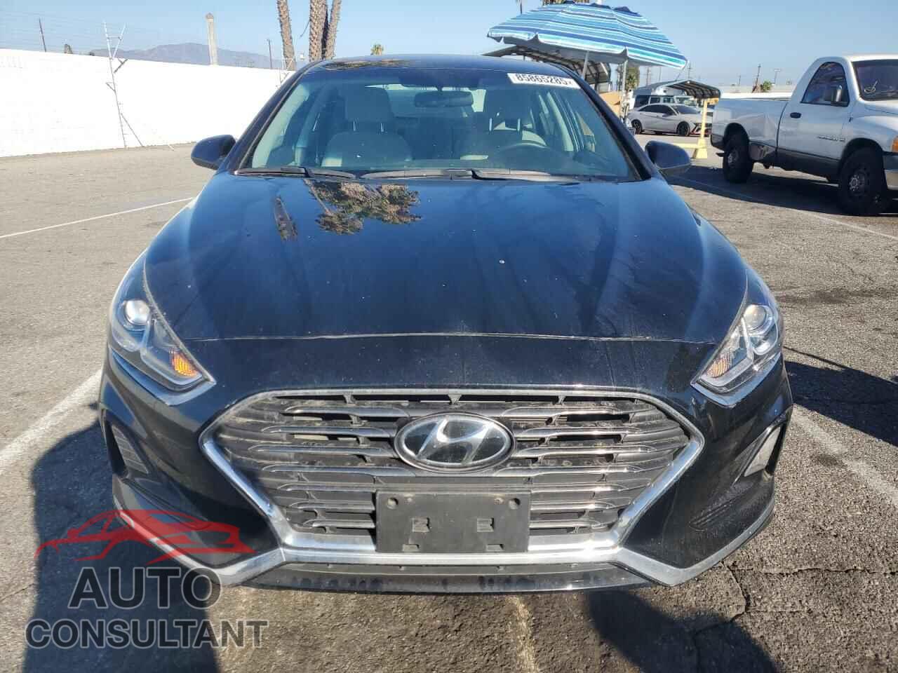 HYUNDAI SONATA 2019 - 5NPE24AF3KH744935