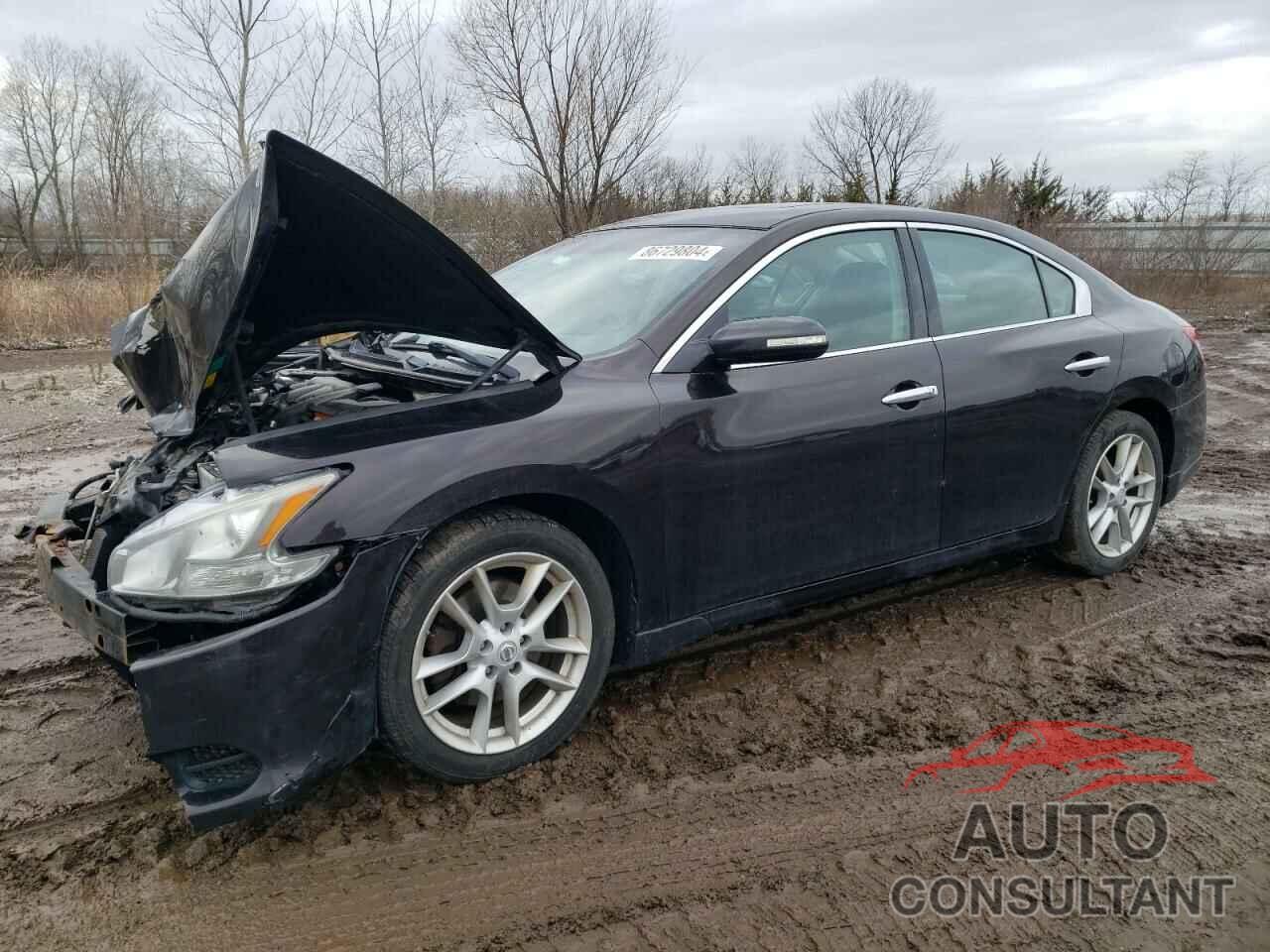 NISSAN MAXIMA 2011 - 1N4AA5AP8BC837838