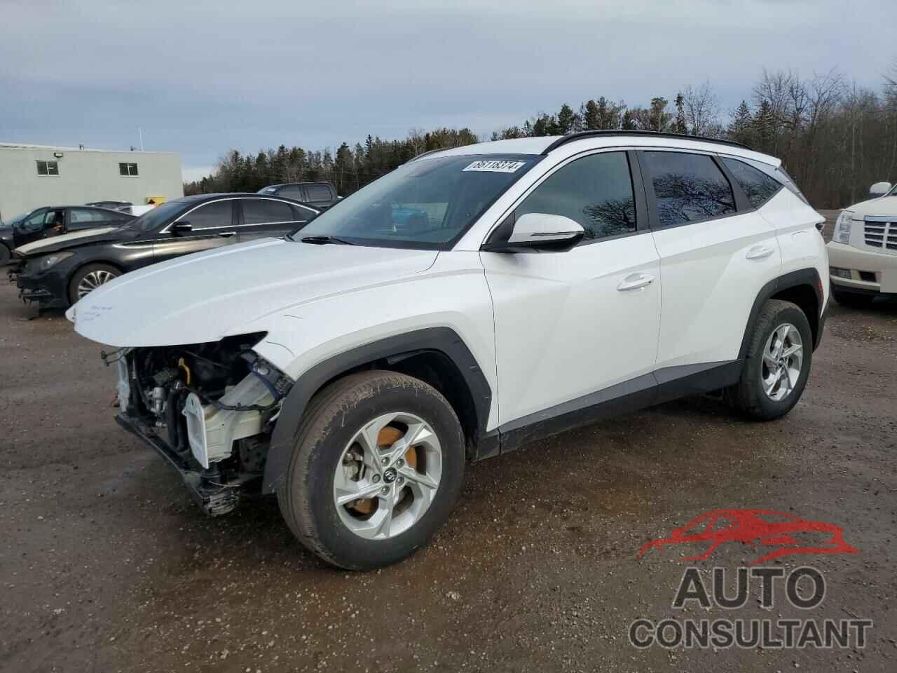 HYUNDAI TUCSON 2022 - KM8JBCAE1NU115132