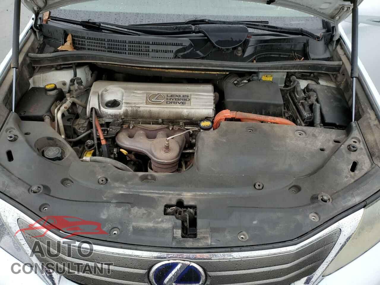 LEXUS HS 2010 - JTHBB1BA2A2022861