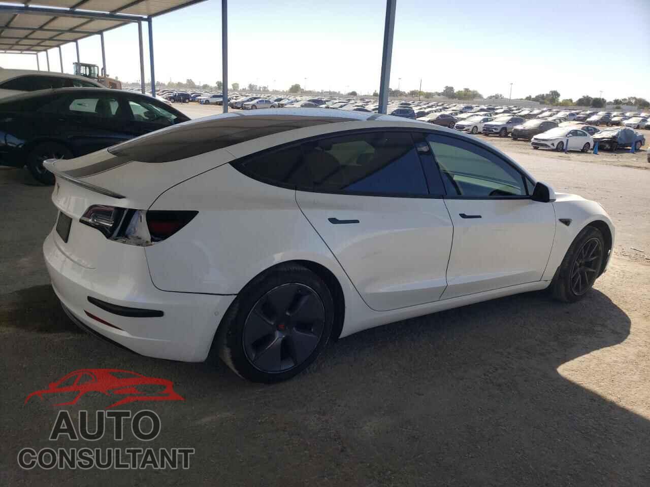 TESLA MODEL 3 2021 - 5YJ3E1EA2MF029741