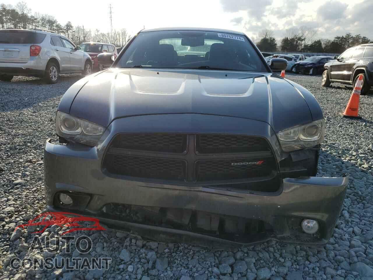 DODGE CHARGER 2014 - 2C3CDXCTXEH349254