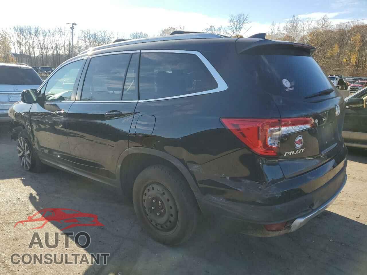 HONDA PILOT 2019 - 5FNYF6H51KB080384
