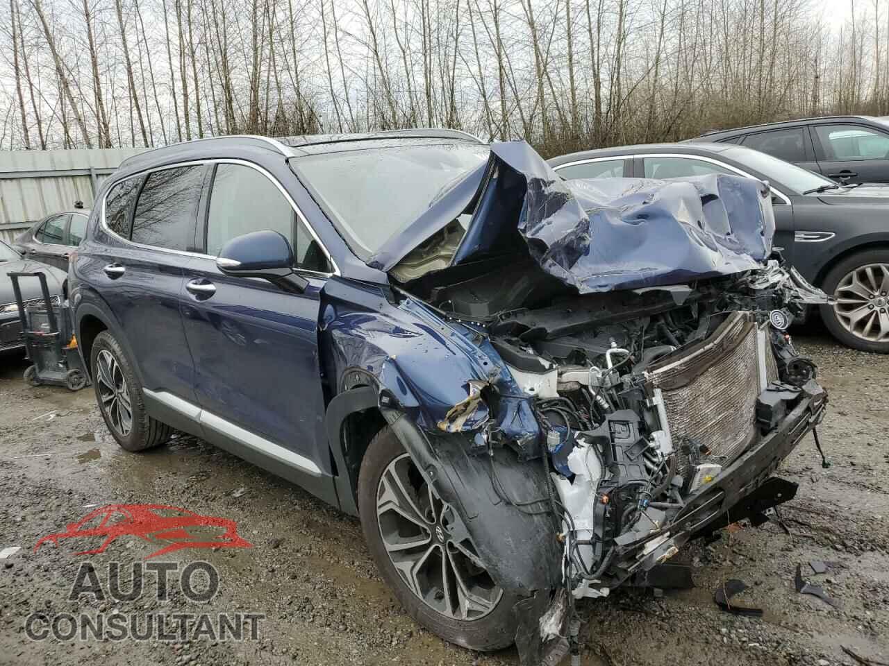 HYUNDAI SANTA FE 2019 - 5NMS5CAA6KH046521
