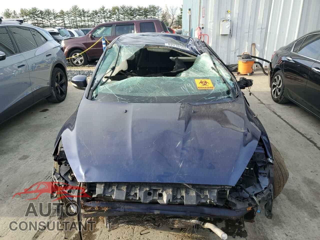 FORD FOCUS 2016 - 1FADP3K24GL401160