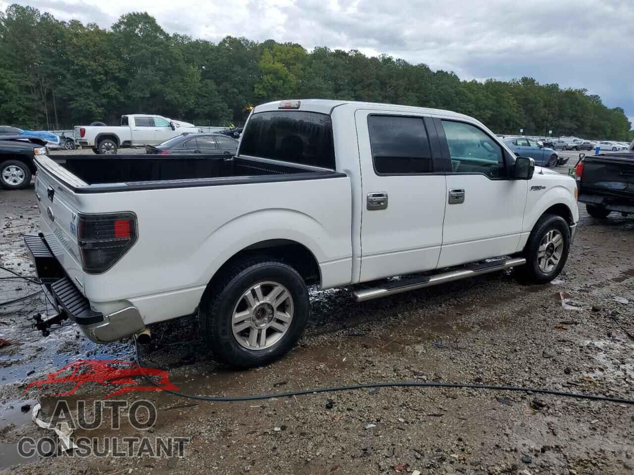 FORD F-150 2011 - 1FTFW1CF9BKD51981