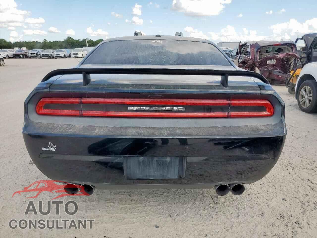 DODGE CHALLENGER 2014 - 2C3CDYBT9EH302255