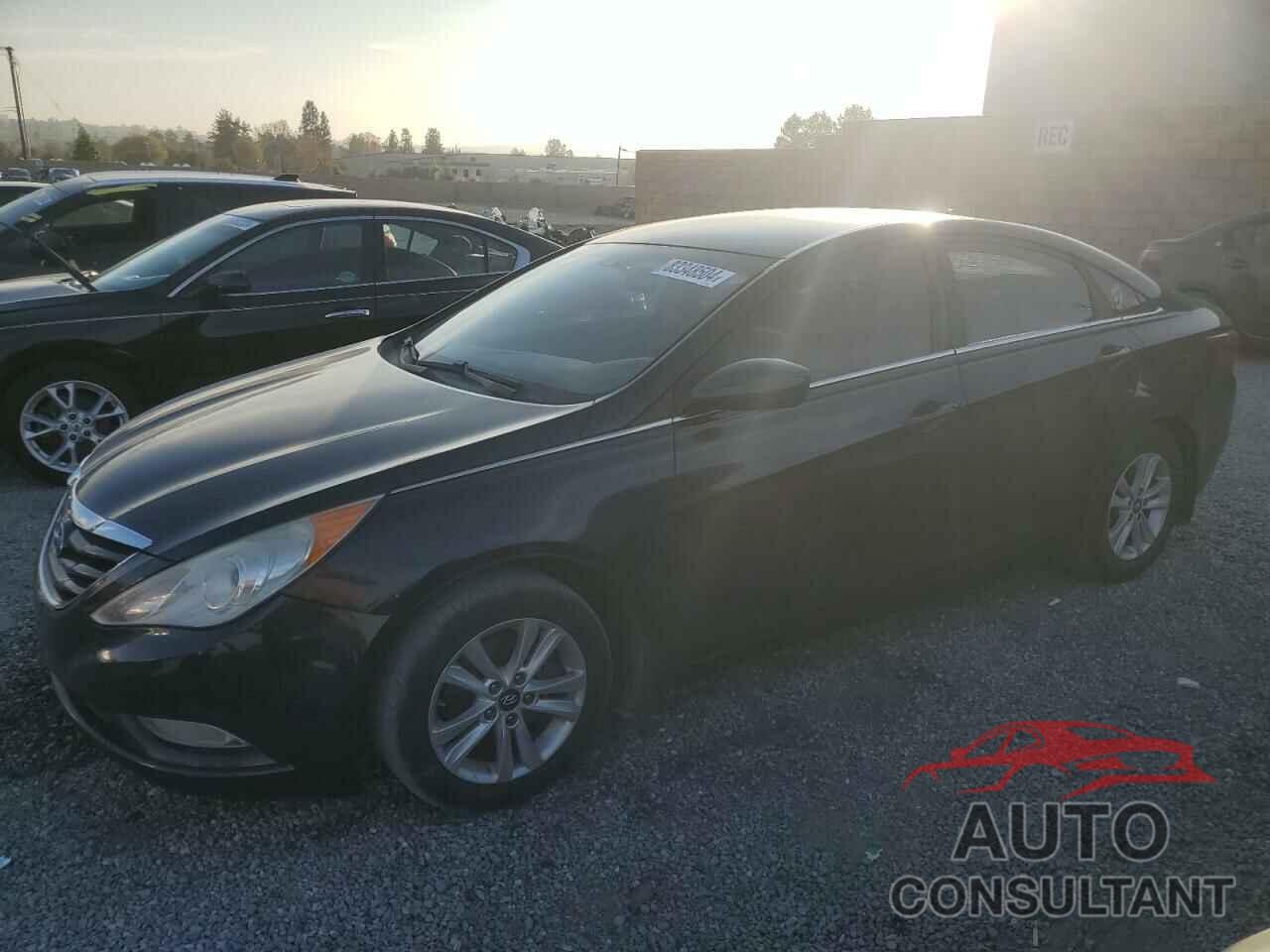 HYUNDAI SONATA 2013 - 5NPEB4AC4DH549886