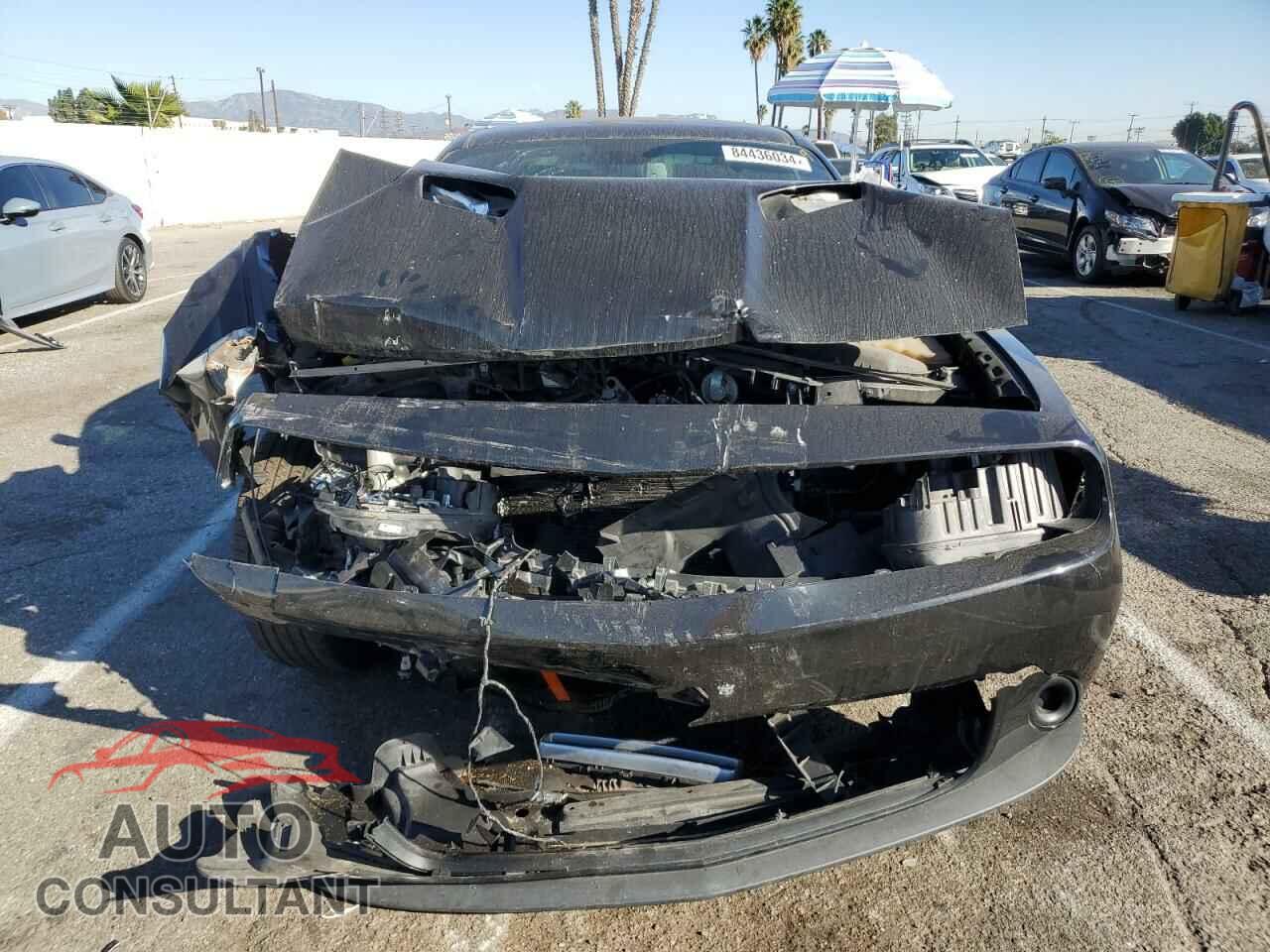 DODGE CHALLENGER 2019 - 2C3CDZAG5KH750966