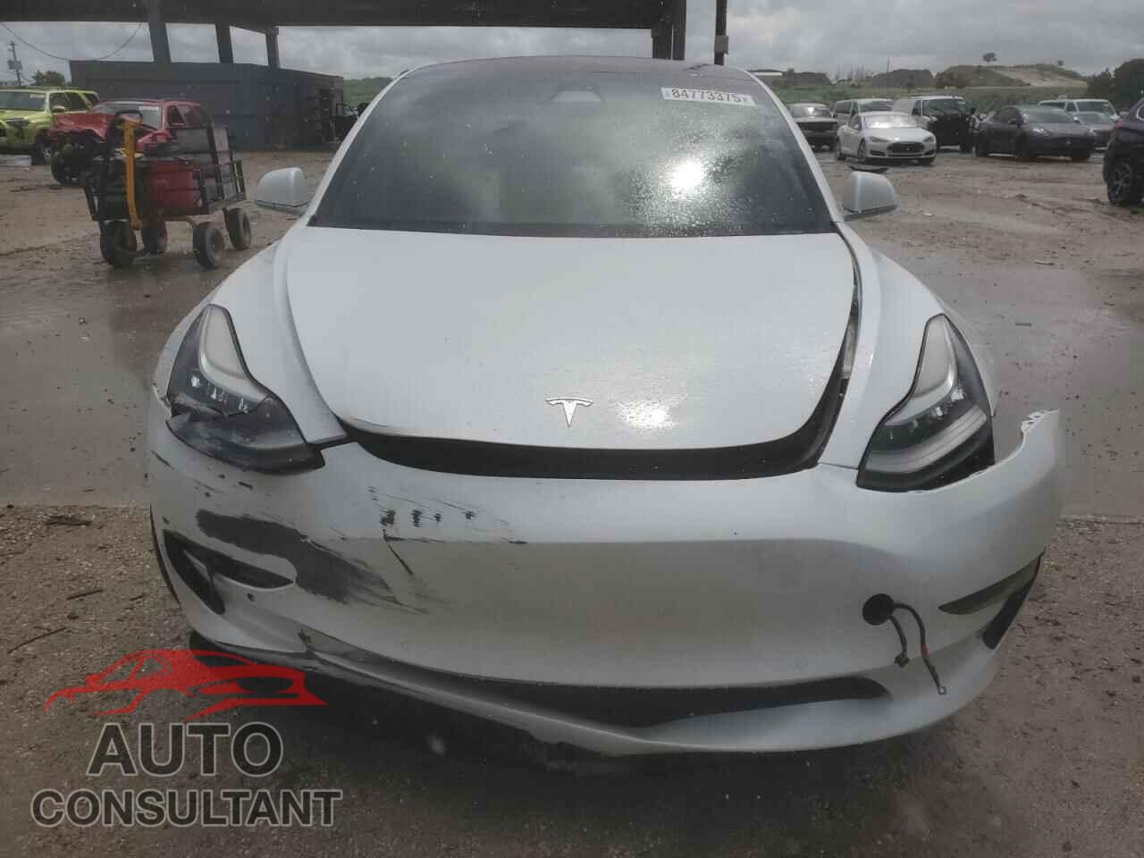 TESLA MODEL 3 2019 - 5YJ3E1EA6KF299956