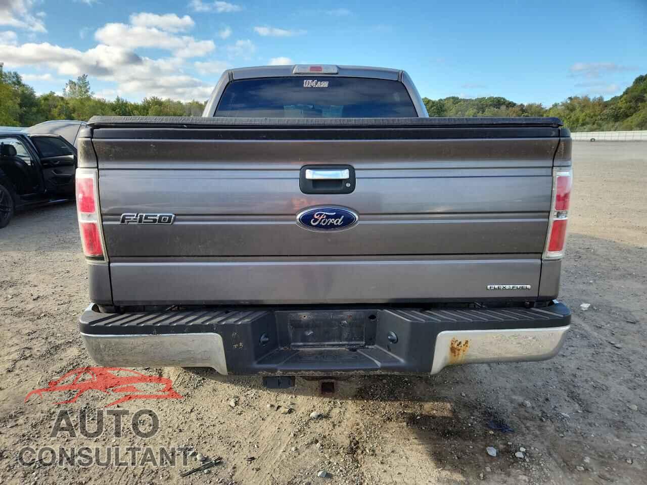 FORD F-150 2013 - 1FTFW1EF6DFD51686