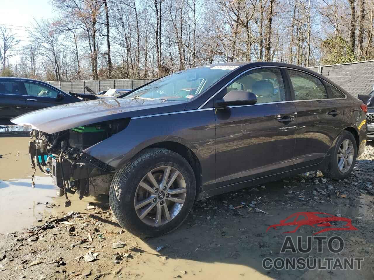 HYUNDAI SONATA 2015 - 5NPE24AF5FH168965