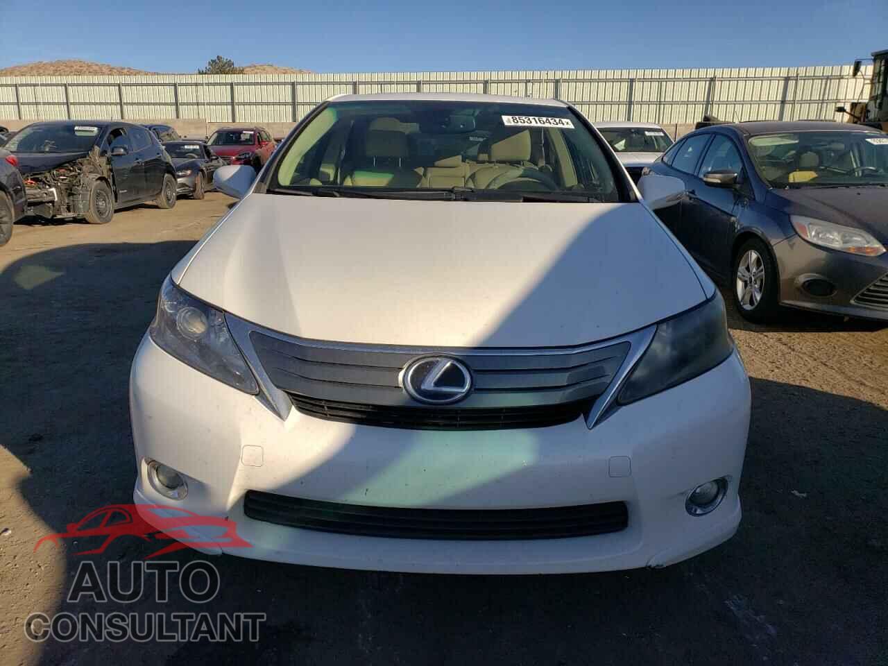 LEXUS HS 2010 - JTHBB1BA3A2017278