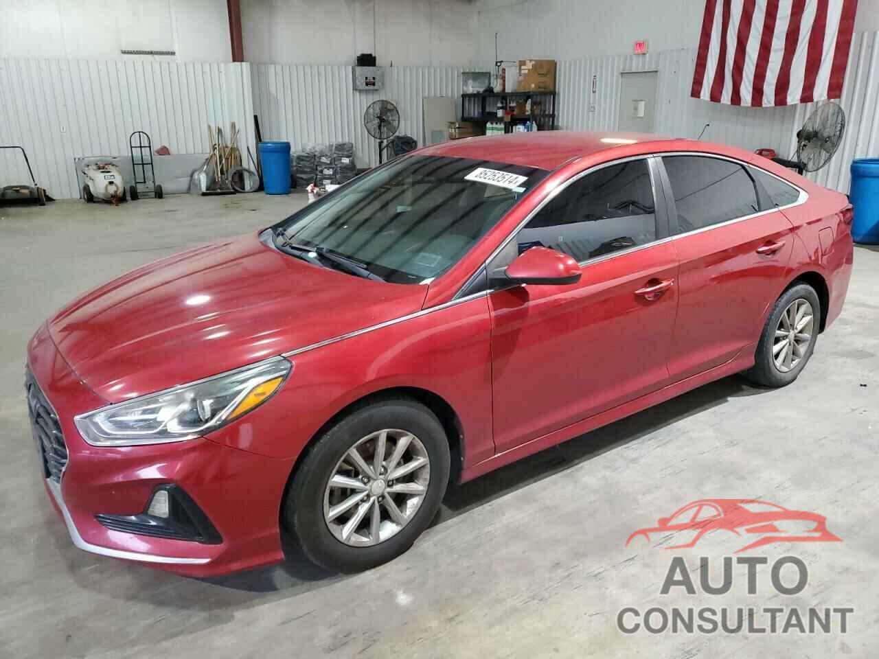 HYUNDAI SONATA 2019 - 5NPE24AF0KH731415
