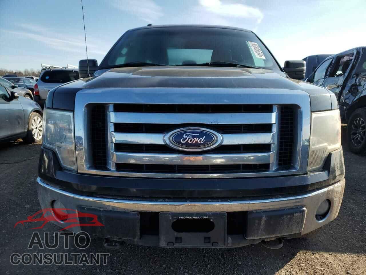 FORD F-150 2011 - 1FTFX1EF9BFB07542