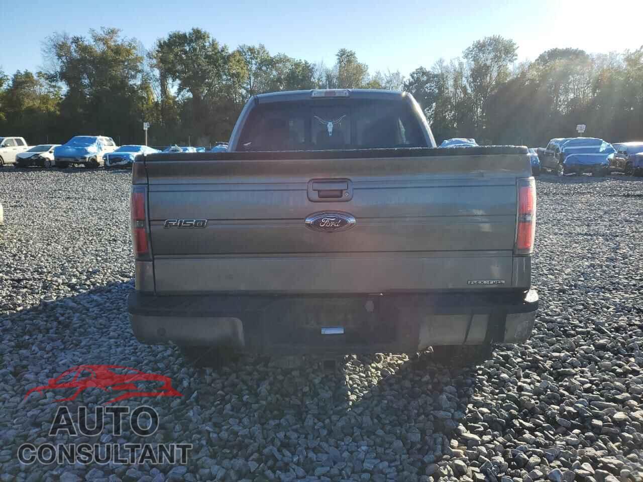 FORD F-150 2011 - 1FTFX1EF0BKD25831