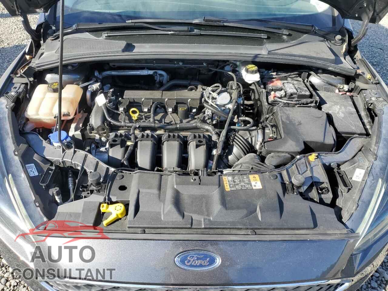 FORD FOCUS 2017 - 1FADP3M21HL344561