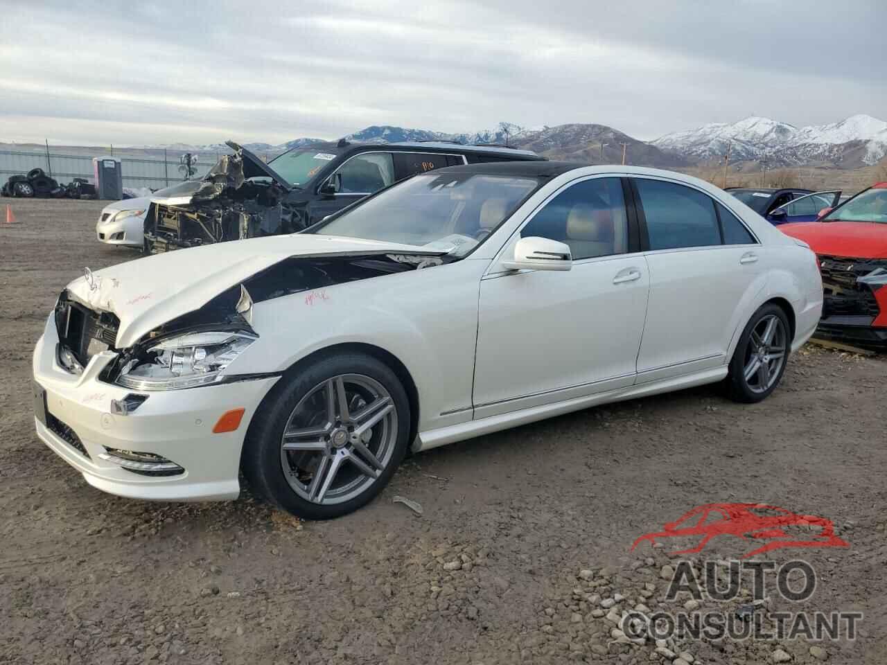 MERCEDES-BENZ S-CLASS 2010 - WDDNG8GB9AA334827