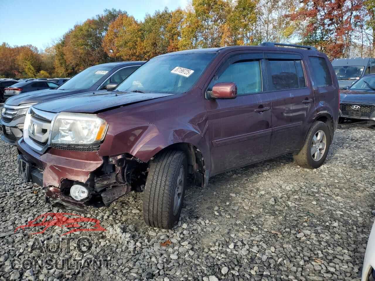 HONDA PILOT 2011 - 5FNYF4H4XBB013312