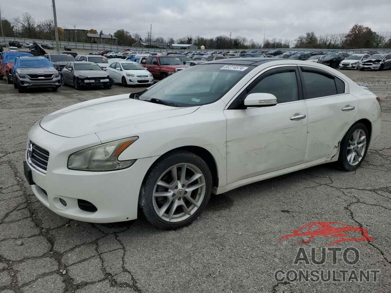 NISSAN MAXIMA 2010 - 1N4AA5AP4AC838287