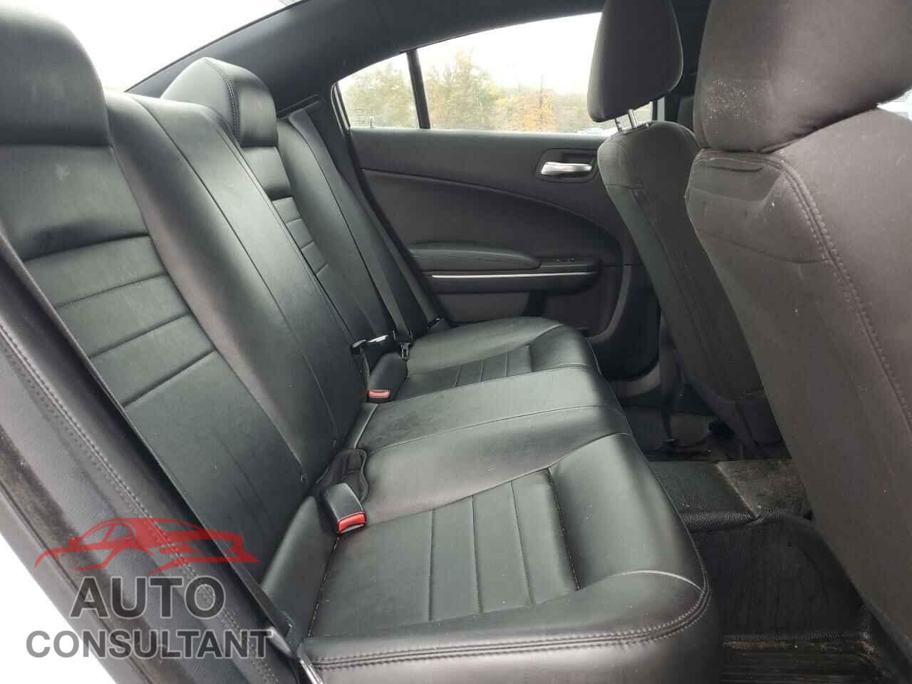 DODGE CHARGER 2019 - 2C3CDXKT9KH547871