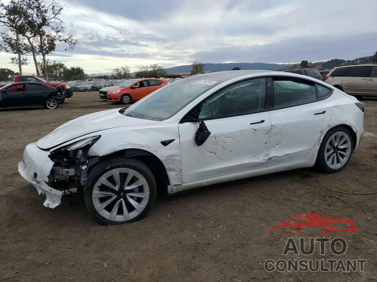 TESLA MODEL 3 2021 - 5YJ3E1EA3MF990803