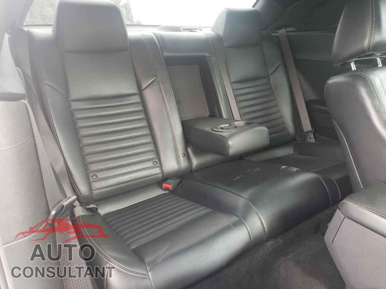 DODGE CHALLENGER 2013 - 2C3CDYBT8DH663376