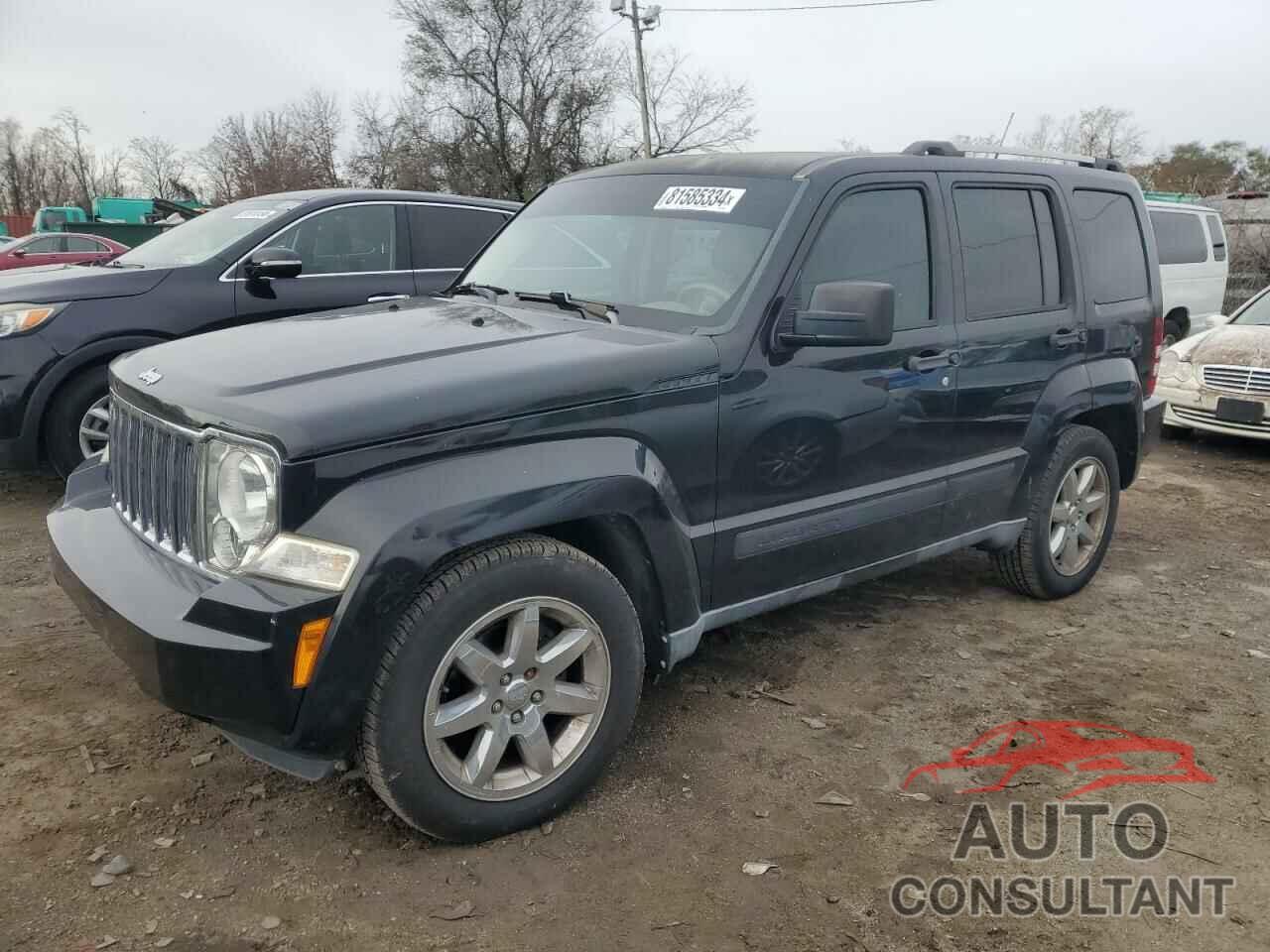 JEEP LIBERTY 2011 - 1J4PN5GKXBW503209