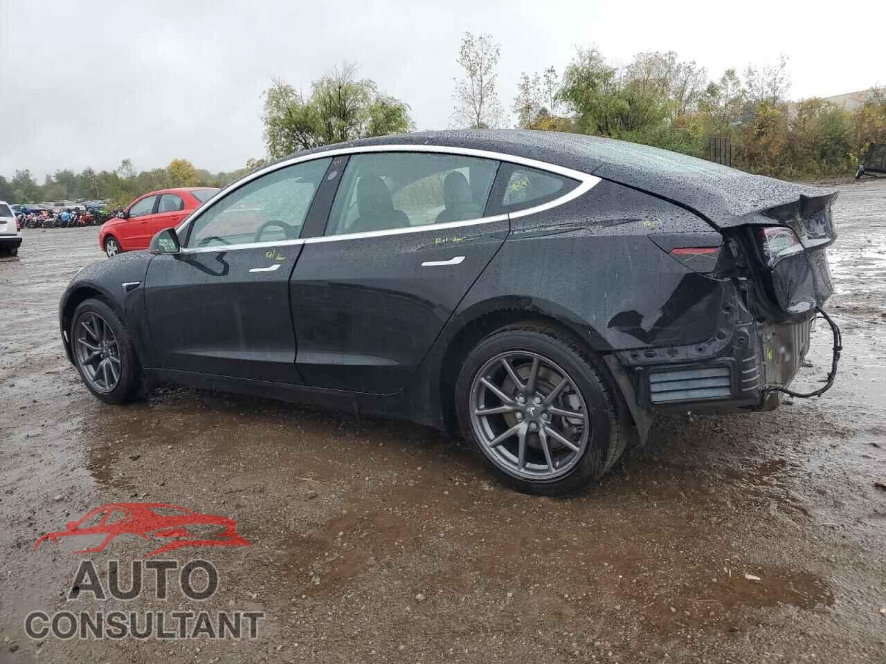 TESLA MODEL 3 2019 - 5YJ3E1EA2KF398502