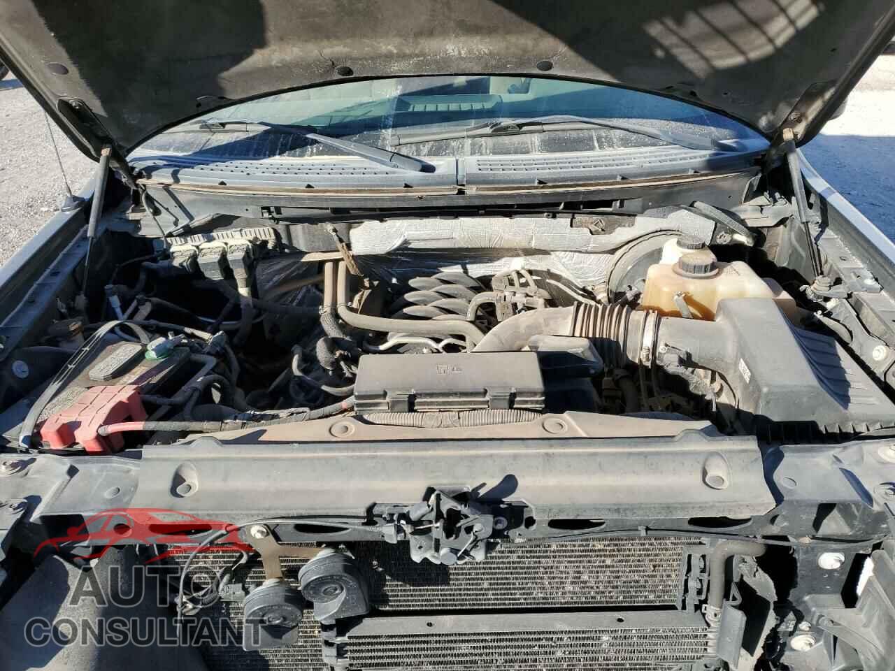 FORD F-150 2013 - 1FTFX1CF3DFB52157