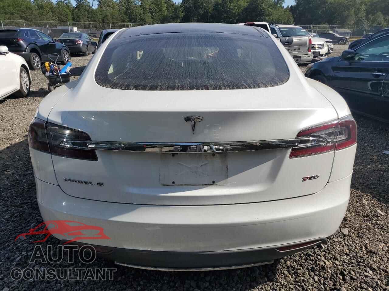 TESLA MODEL S 2013 - 5YJSA1DPXDFP17466