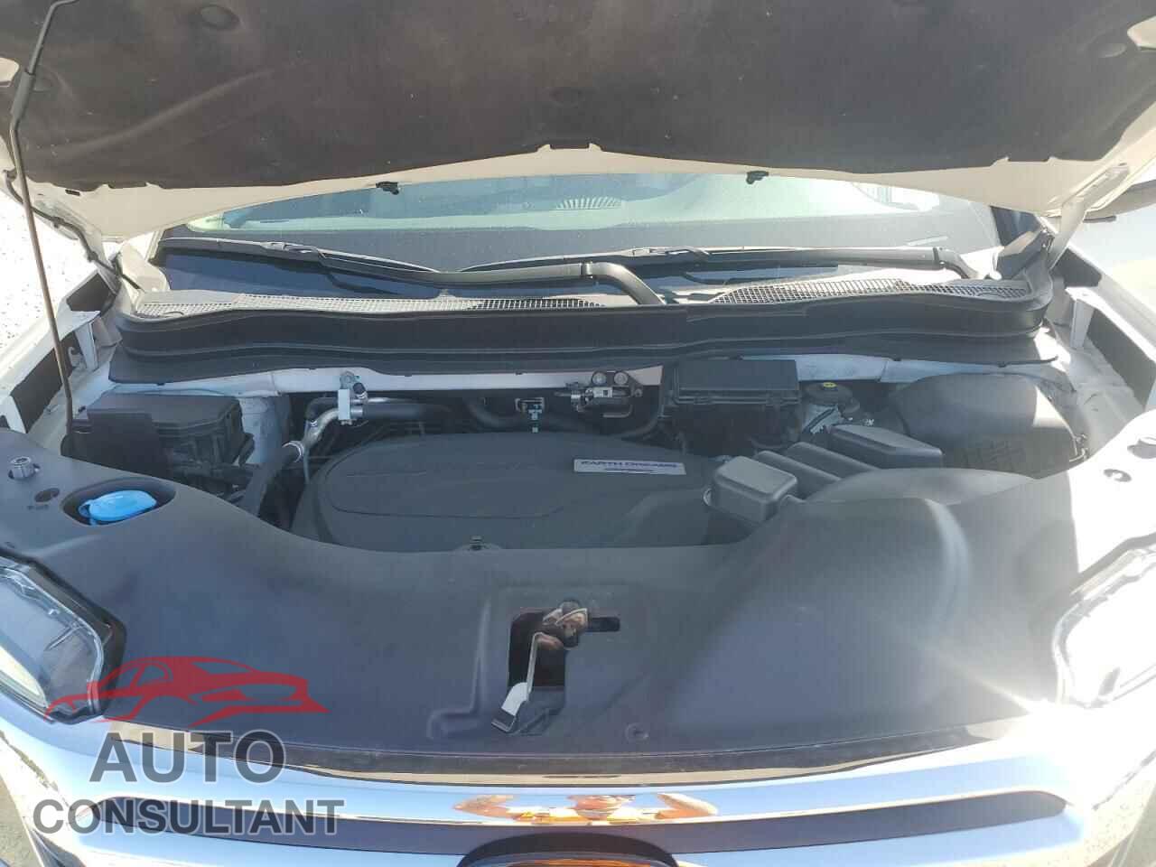 HONDA RIDGELINE 2019 - 5FPYK3F7XKB035997