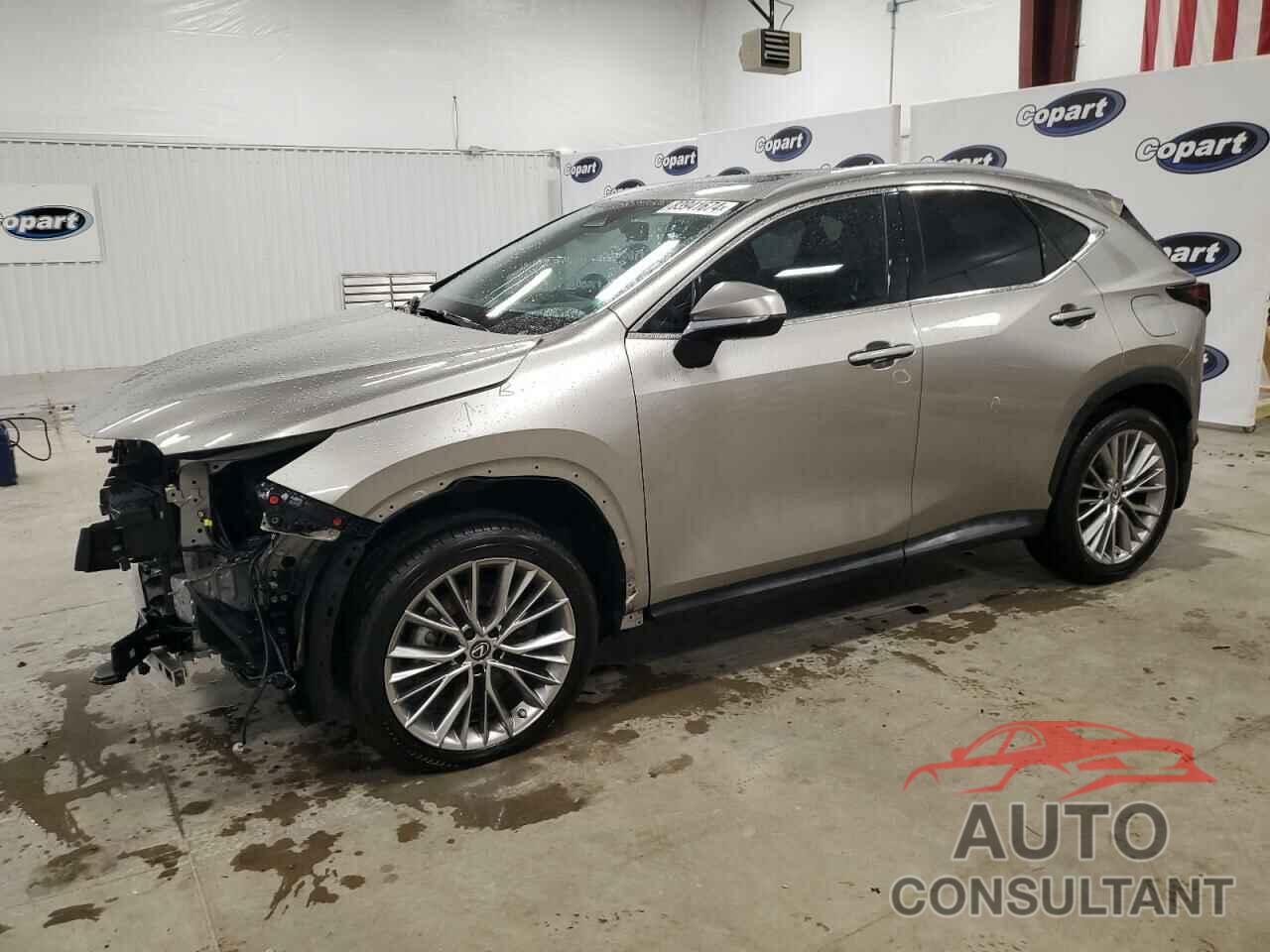 LEXUS NX 350H 2022 - 2T2GKCEZ7NC007876